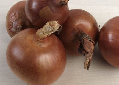 onion 'morada d'Amposta'